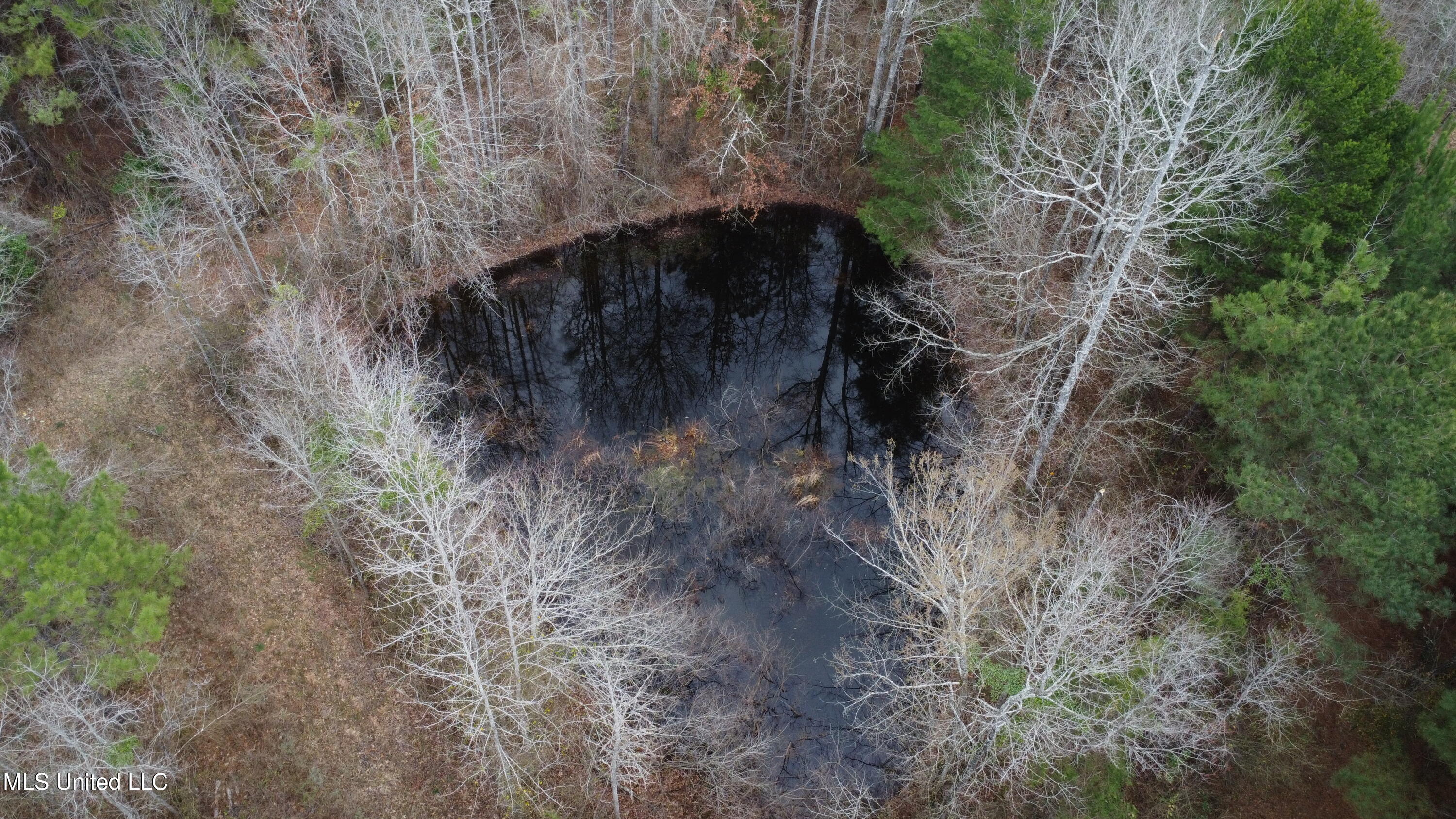 Christian Hts Road Braxton, MS 39044 - Photo 4 of 76 DJI_0695