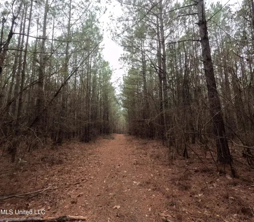 $585,000 | Christian Hts Road, Braxton, MS 39044