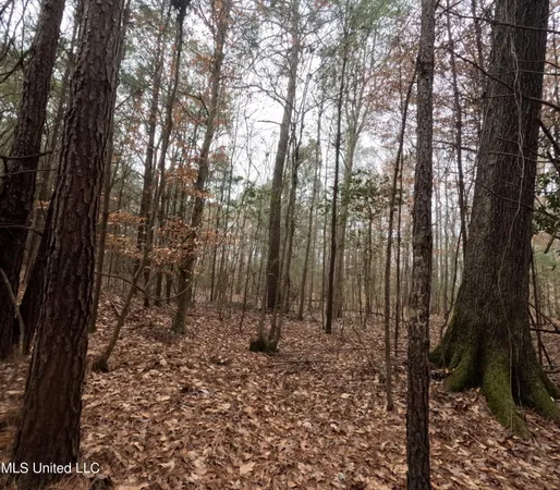$585,000 | Christian Hts Road, Braxton, MS 39044