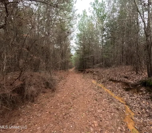 $585,000 | Christian Hts Road, Braxton, MS 39044