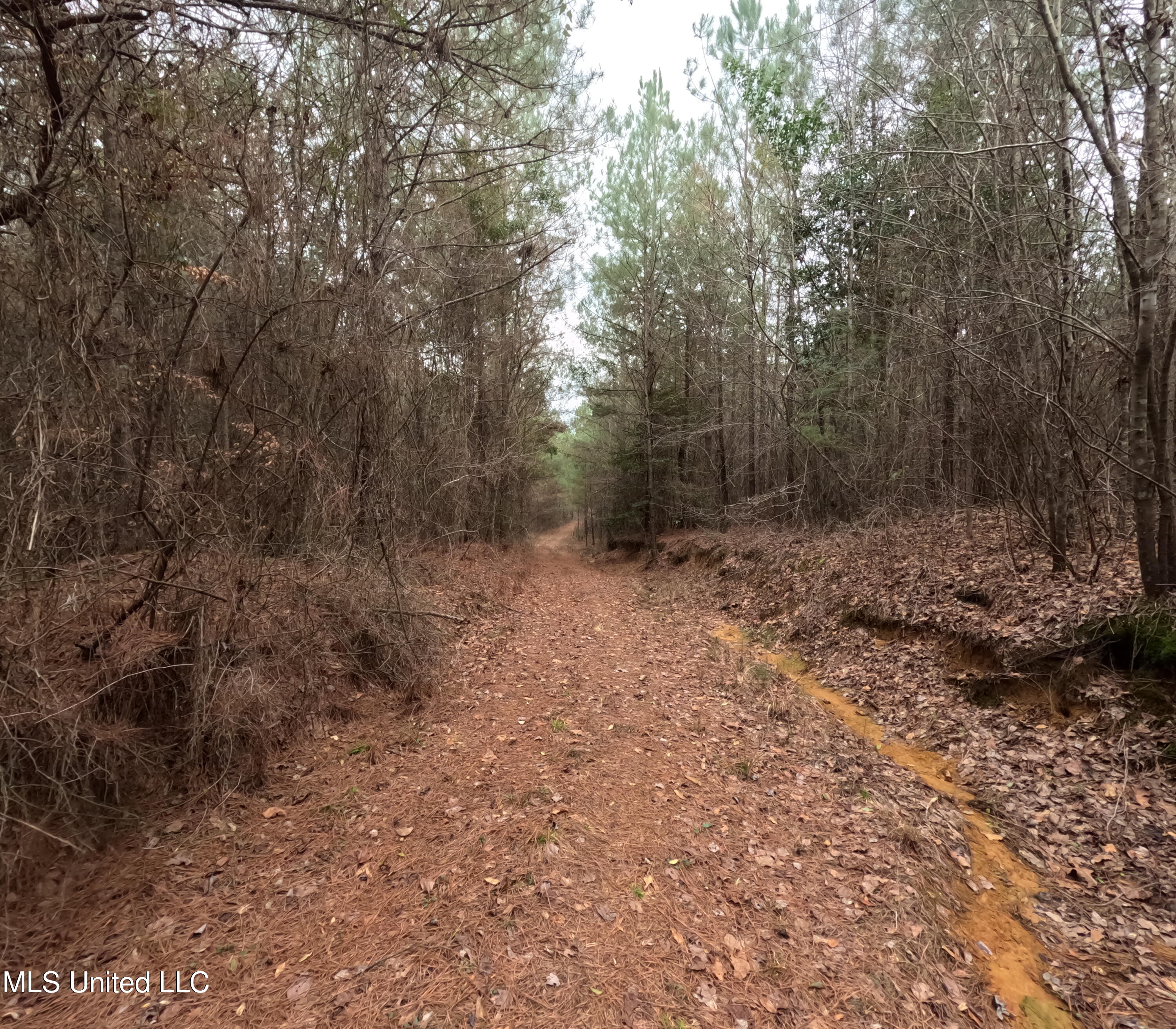 Christian Hts Road Braxton, MS 39044 - Photo 44 of 76 GOPR0812