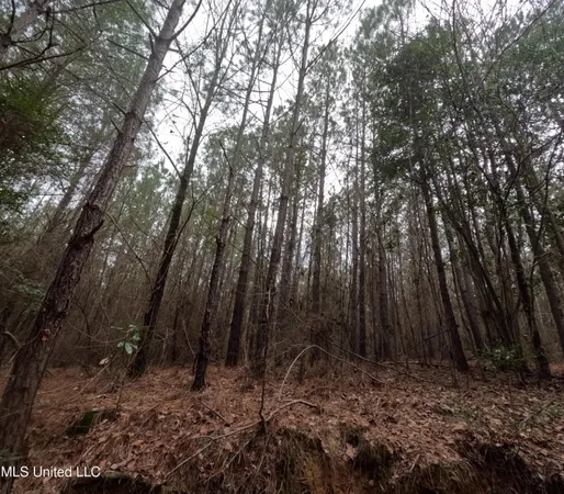 $585,000 | Christian Hts Road, Braxton, MS 39044