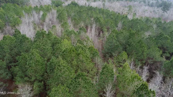 $585,000 | Christian Hts Road, Braxton, MS 39044