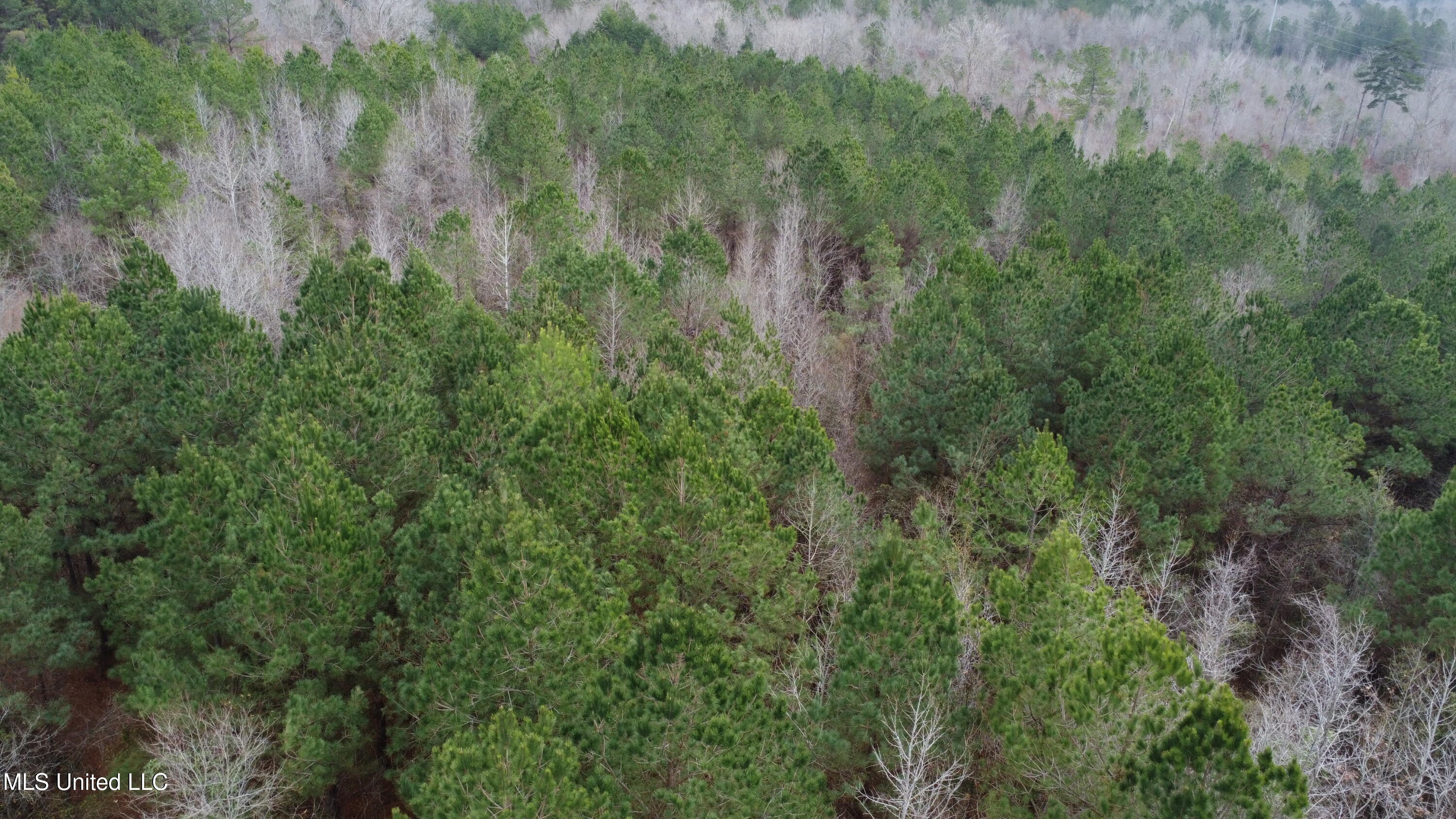 Christian Hts Road Braxton, MS 39044 - Photo 47 of 76 DJI_0694