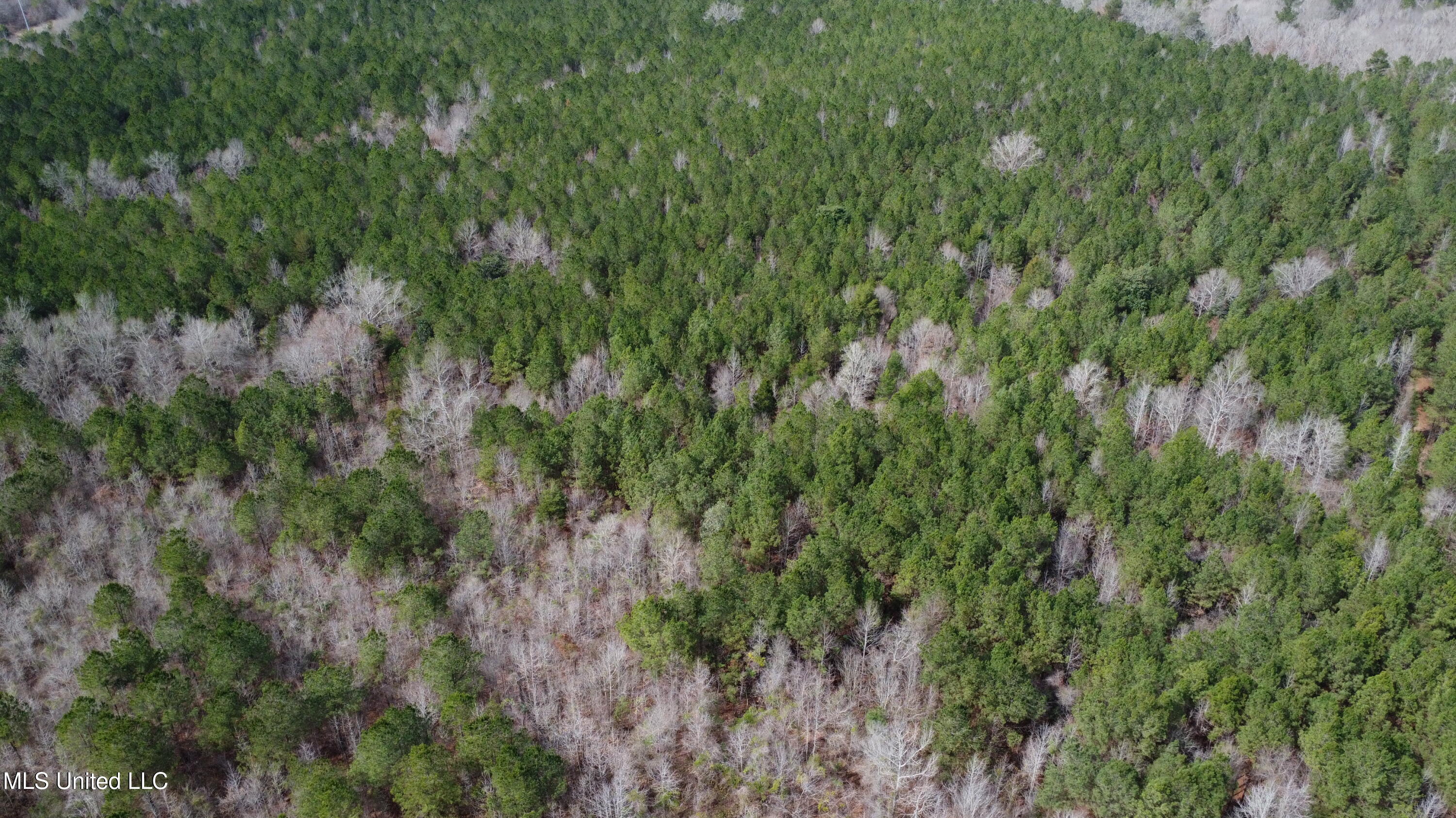 Christian Hts Road Braxton, MS 39044 - Photo 48 of 76 DJI_0696