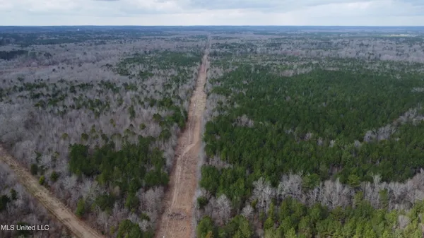 $585,000 | Christian Hts Road, Braxton, MS 39044