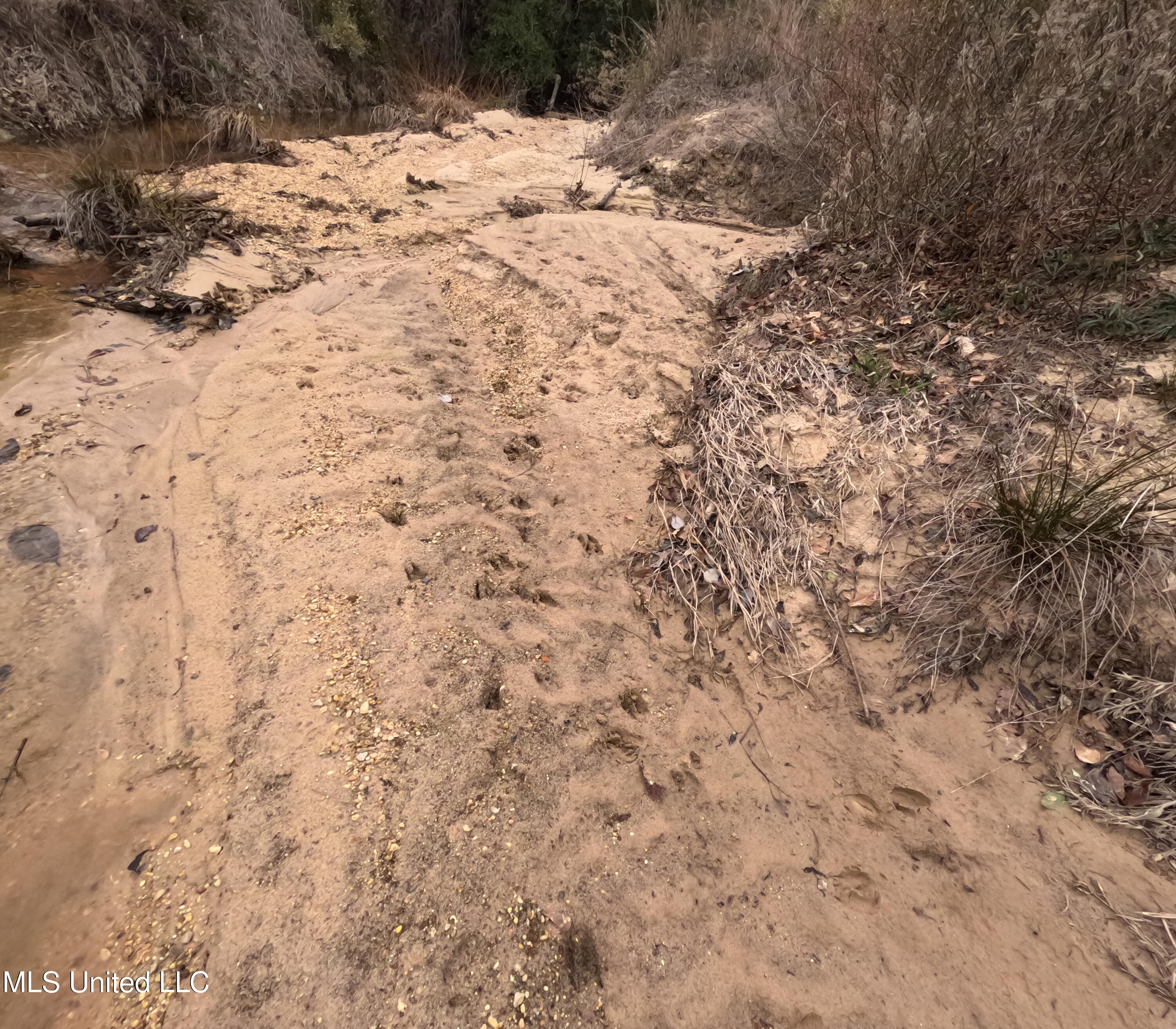 Christian Hts Road Braxton, MS 39044 - Photo 5 of 76 GOPR0795