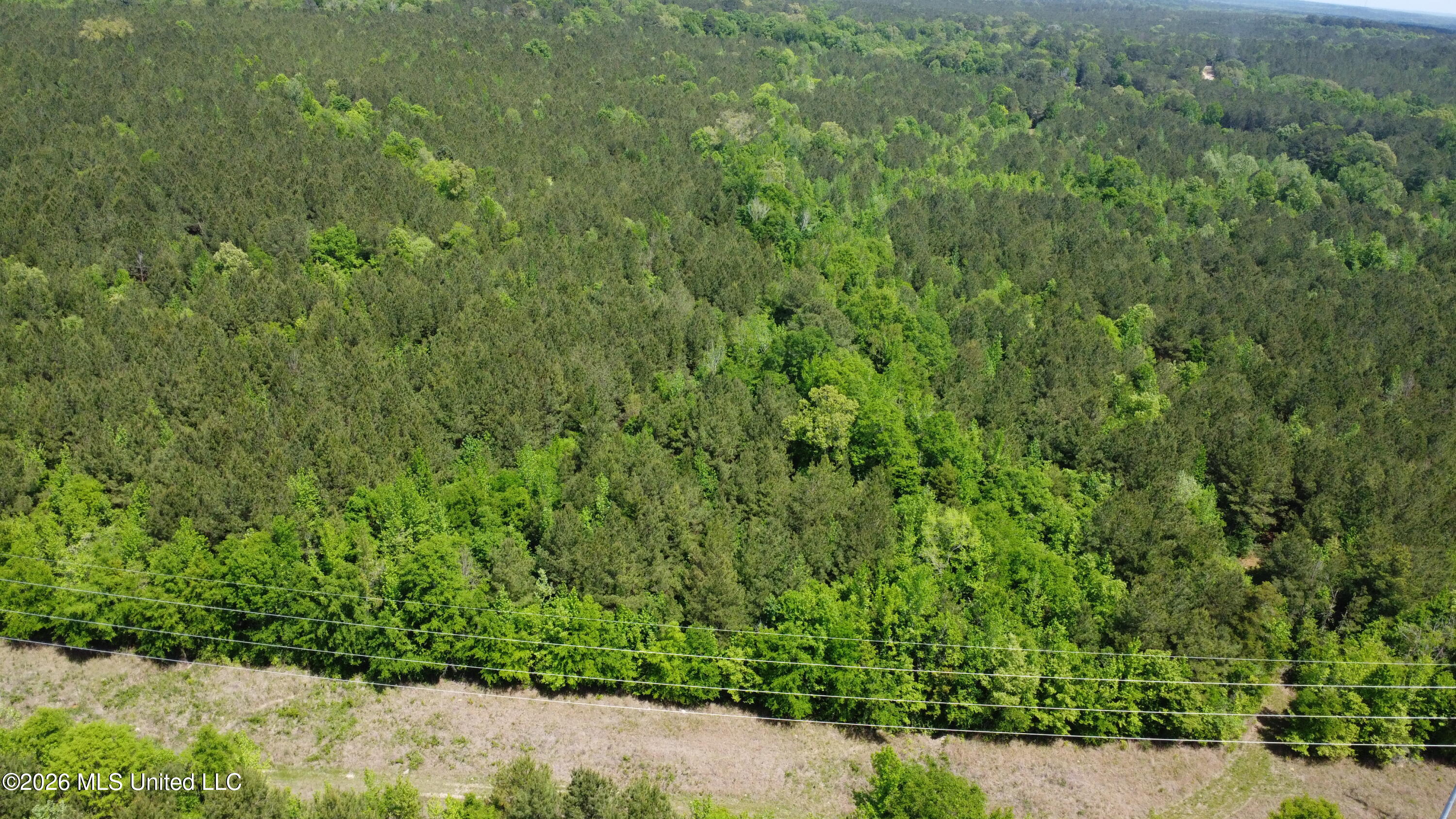 Christian Hts Road Braxton, MS 39044 - Photo 5 of 36 DJI_0823