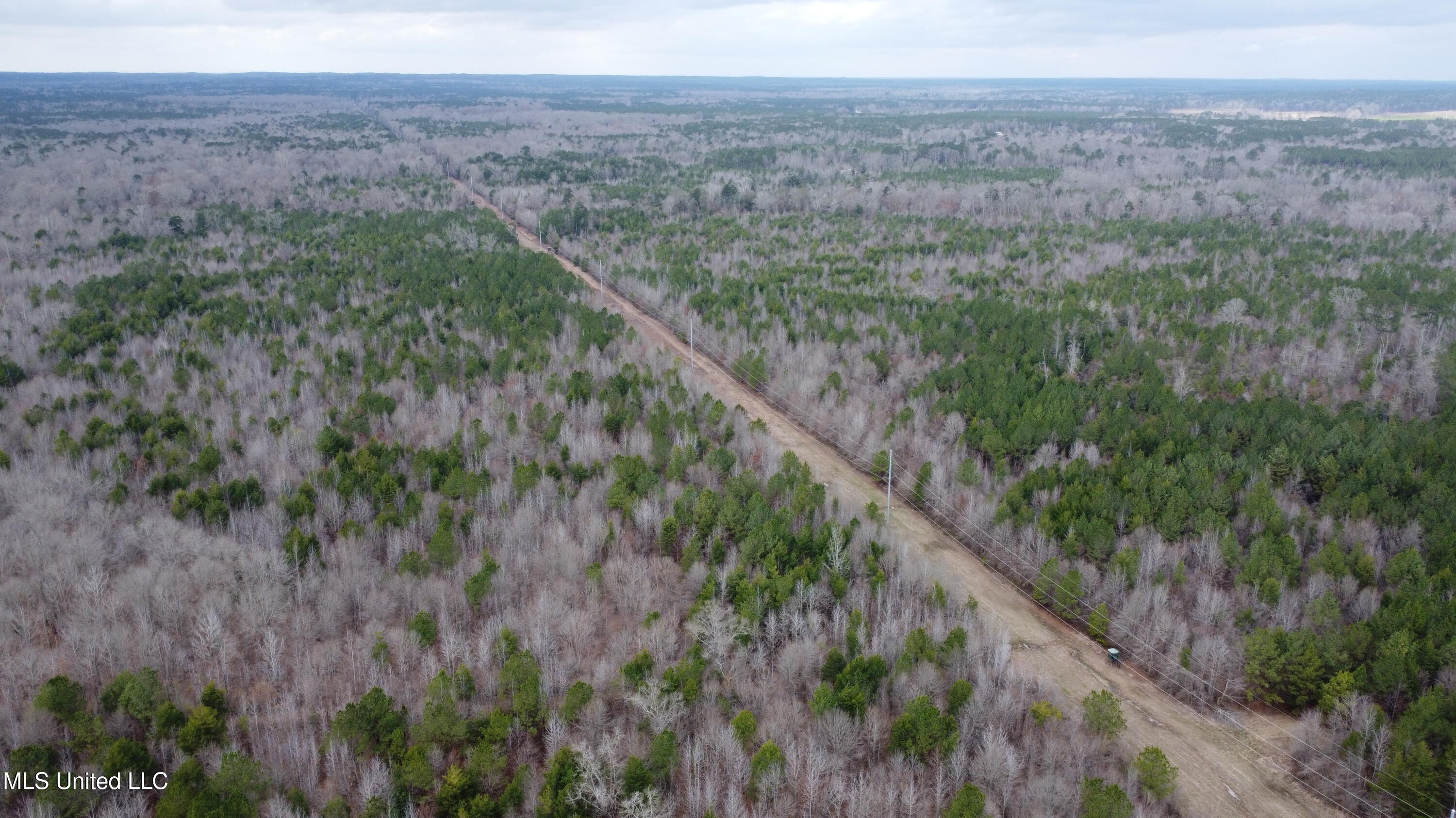 Christian Hts Road Braxton, MS 39044 - Photo 51 of 76 DJI_0700