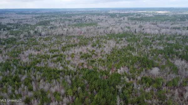 $585,000 | Christian Hts Road, Braxton, MS 39044