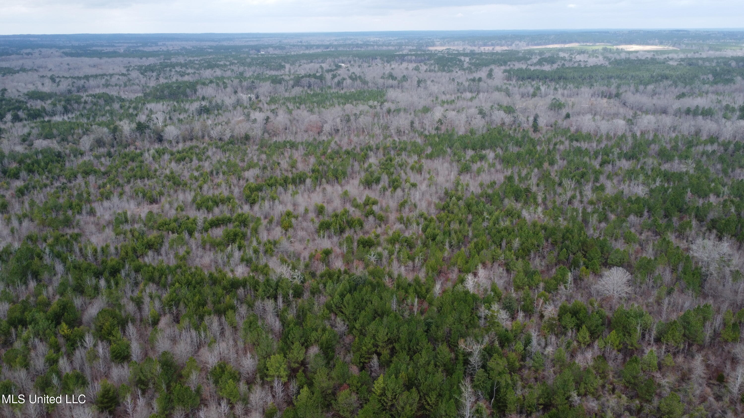 Christian Hts Road Braxton, MS 39044 - Photo 53 of 76 DJI_0702