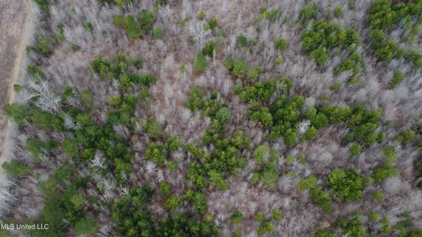 $585,000 | Christian Hts Road, Braxton, MS 39044