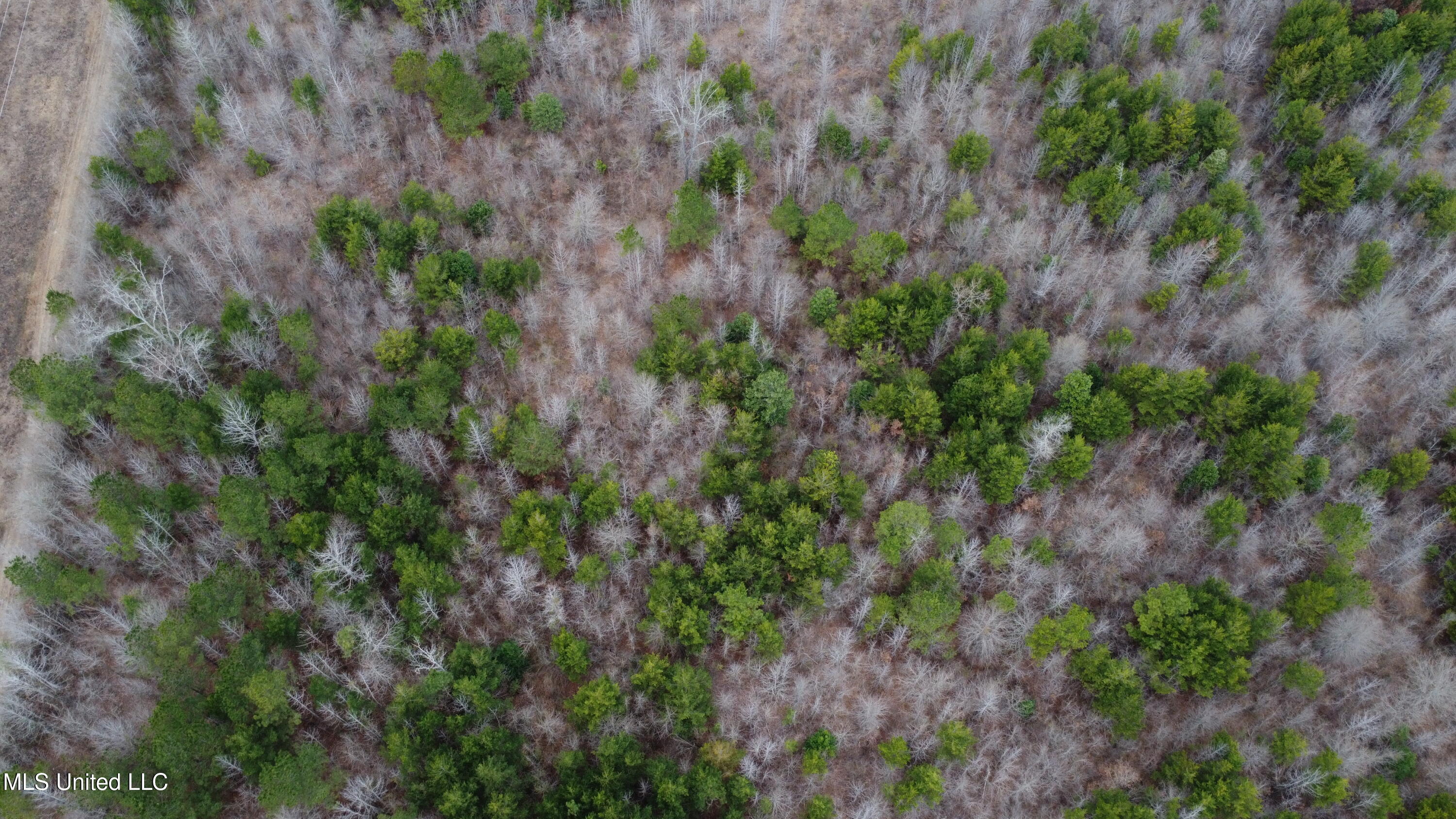 Christian Hts Road Braxton, MS 39044 - Photo 54 of 76 DJI_0703