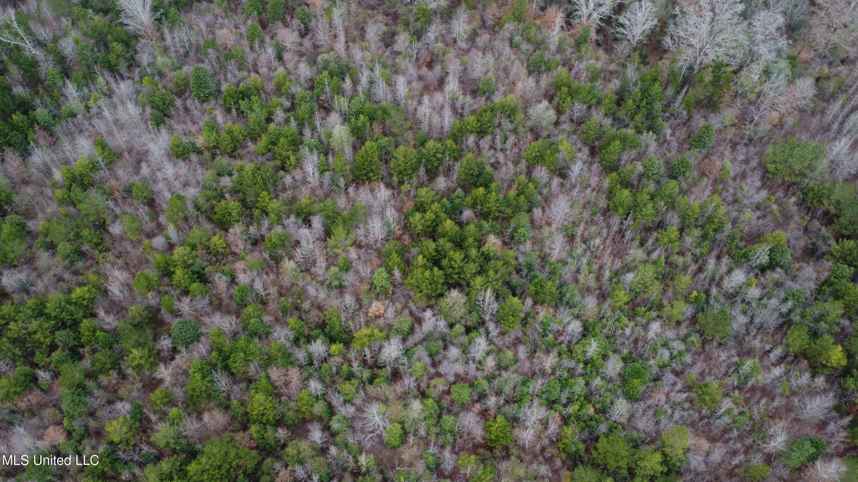 Christian Hts Road Braxton, MS 39044 - Photo 55 of 76 DJI_0704