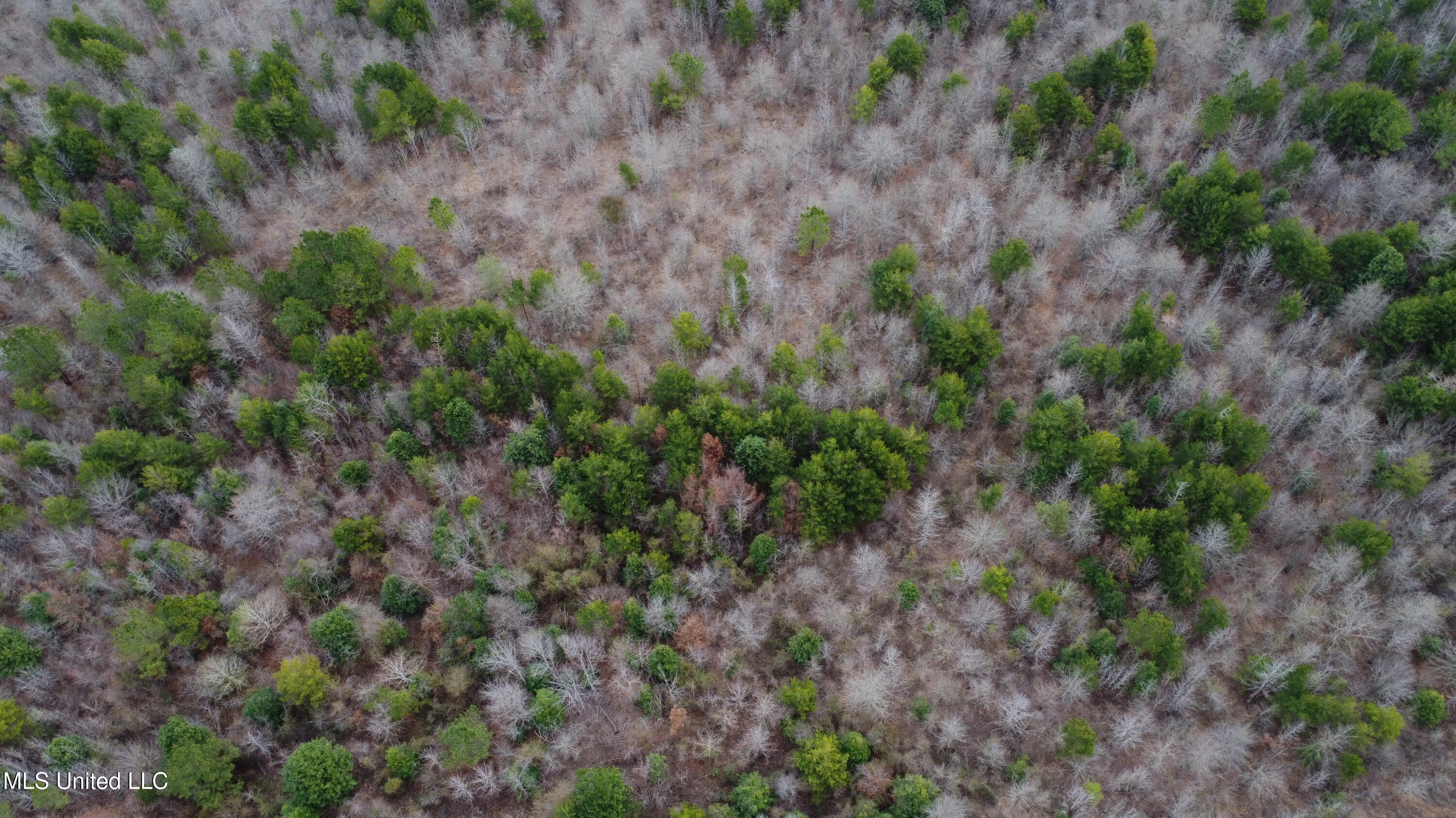 Christian Hts Road Braxton, MS 39044 - Photo 57 of 76 DJI_0706
