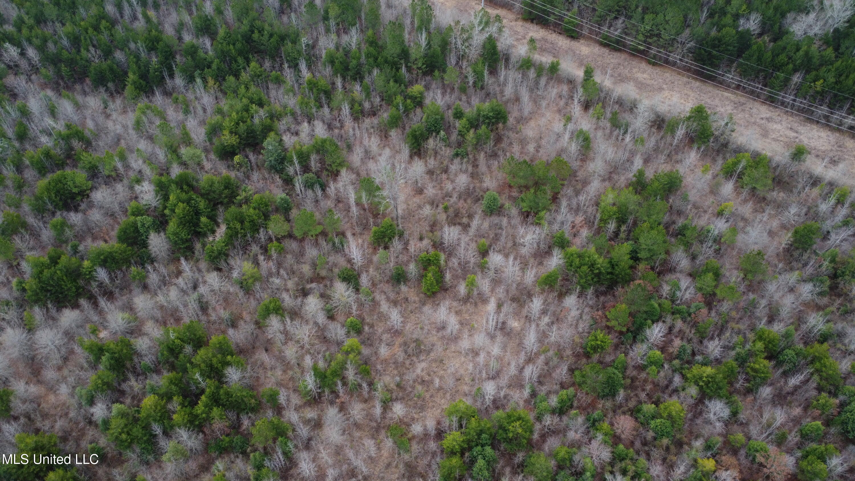Christian Hts Road Braxton, MS 39044 - Photo 58 of 76 DJI_0707