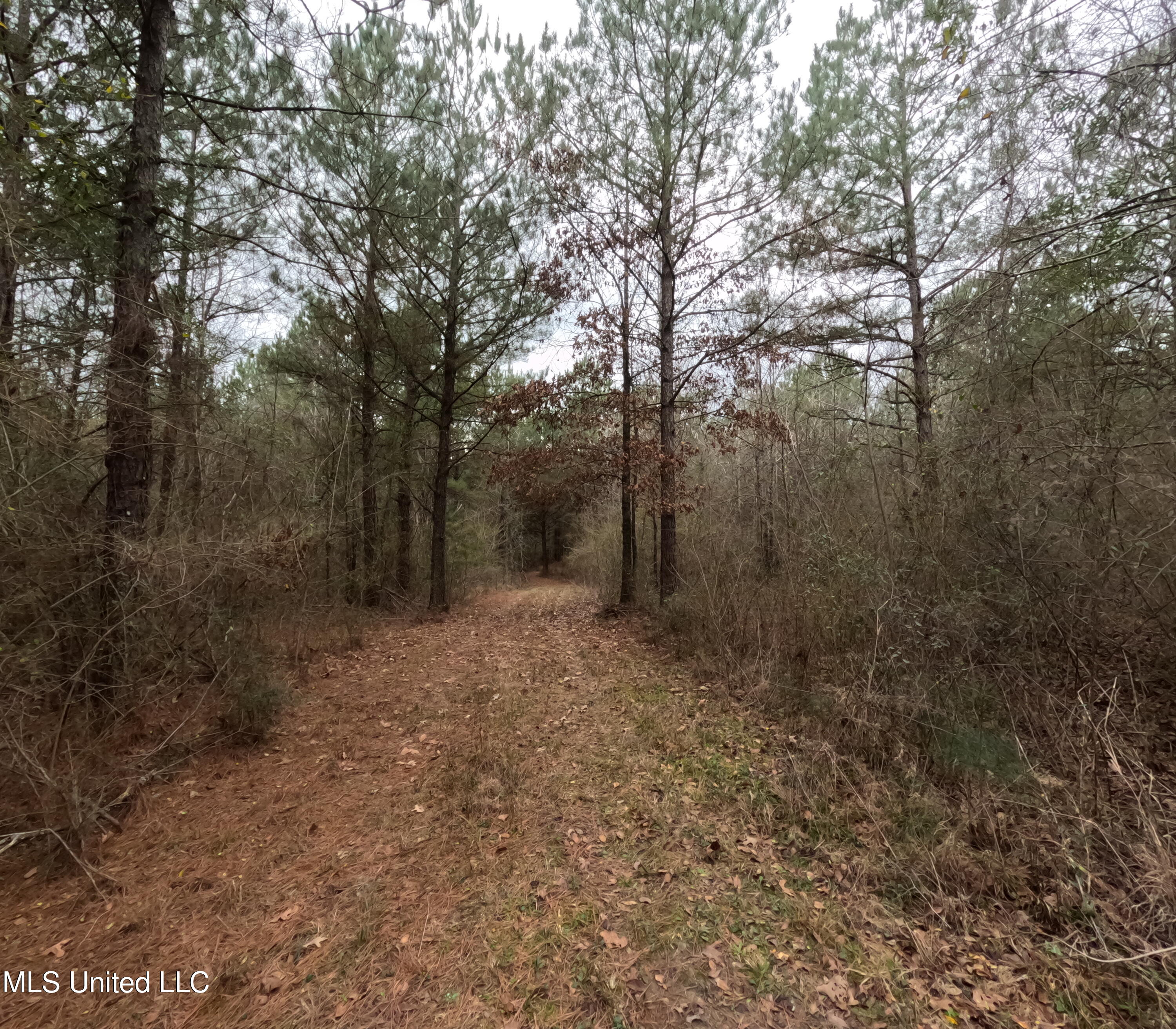 Christian Hts Road Braxton, MS 39044 - Photo 6 of 76 GOPR0771