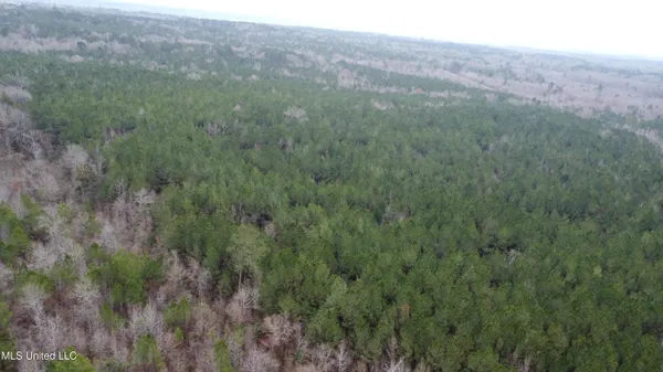 $585,000 | Christian Hts Road, Braxton, MS 39044