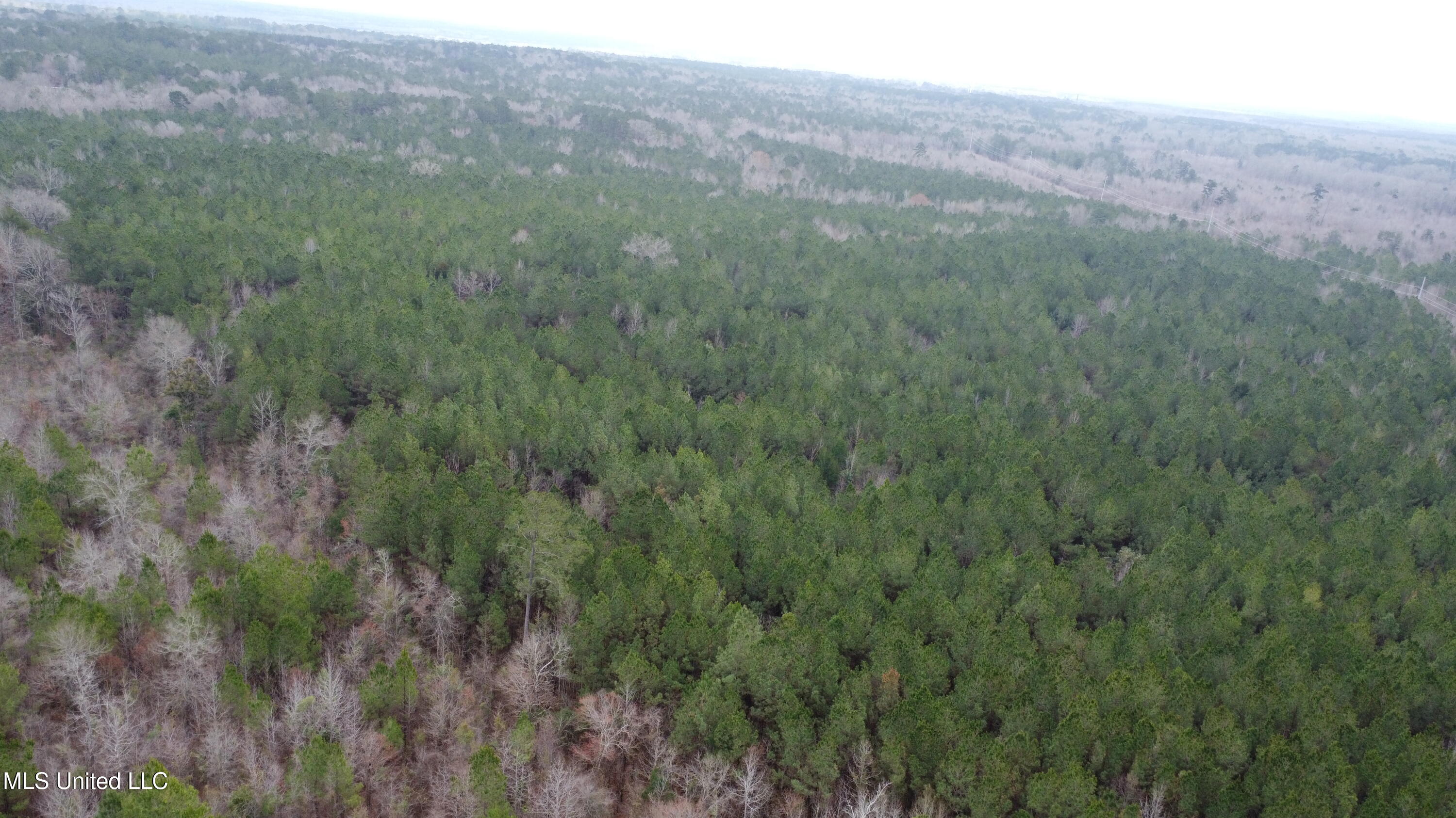 Christian Hts Road Braxton, MS 39044 - Photo 61 of 76 DJI_0710
