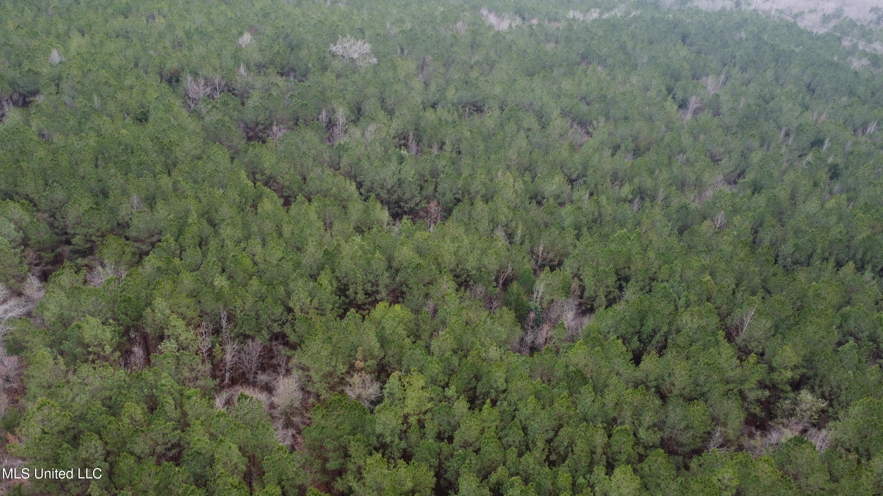 Christian Hts Road Braxton, MS 39044 - Photo 62 of 76 DJI_0711