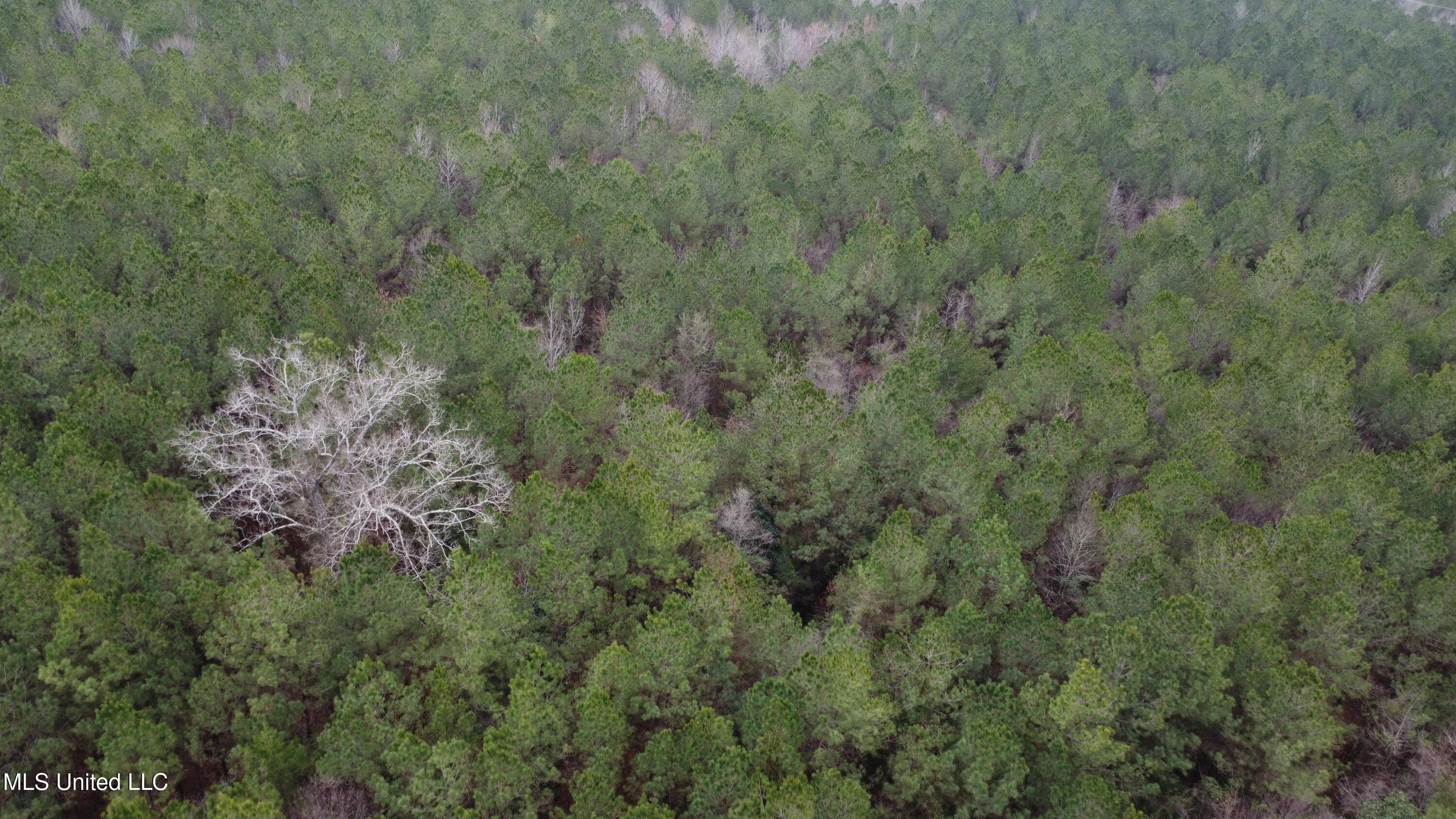 Christian Hts Road Braxton, MS 39044 - Photo 63 of 76 DJI_0712