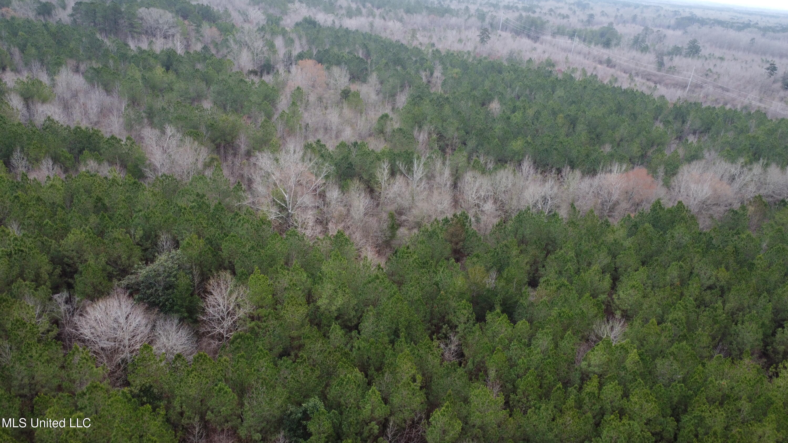 Christian Hts Road Braxton, MS 39044 - Photo 64 of 76 DJI_0713