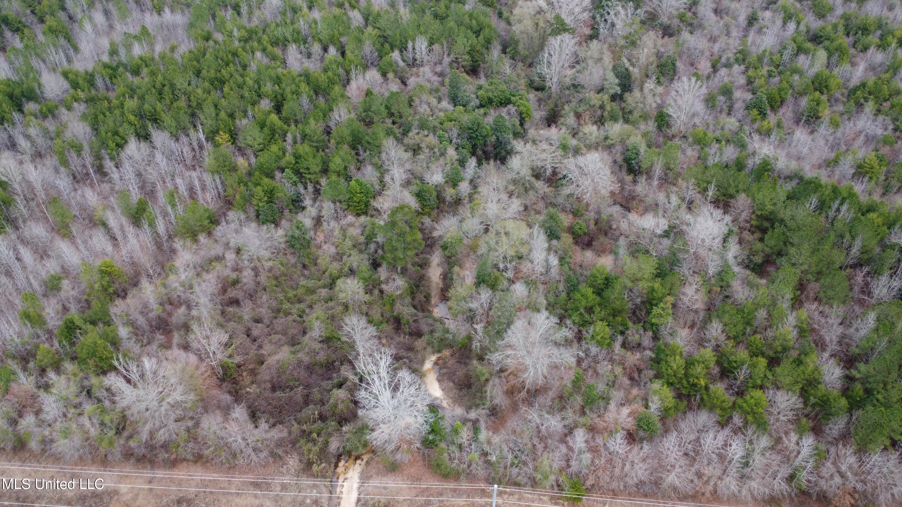 Christian Hts Road Braxton, MS 39044 - Photo 68 of 76 DJI_0717