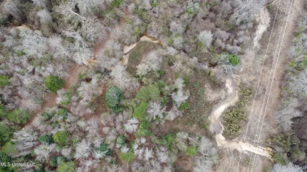 $585,000 | Christian Hts Road, Braxton, MS 39044