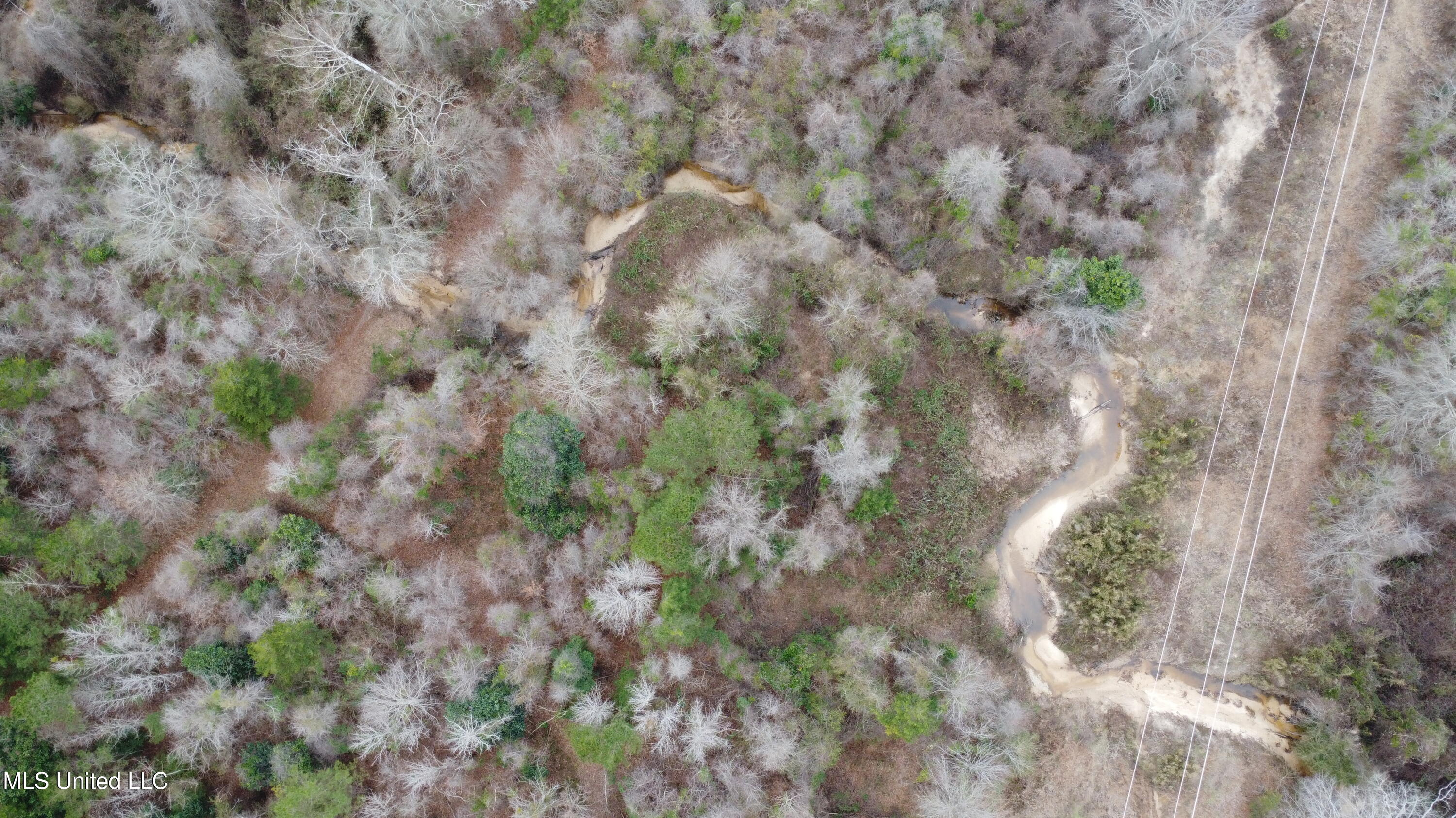 Christian Hts Road Braxton, MS 39044 - Photo 69 of 76 DJI_0718