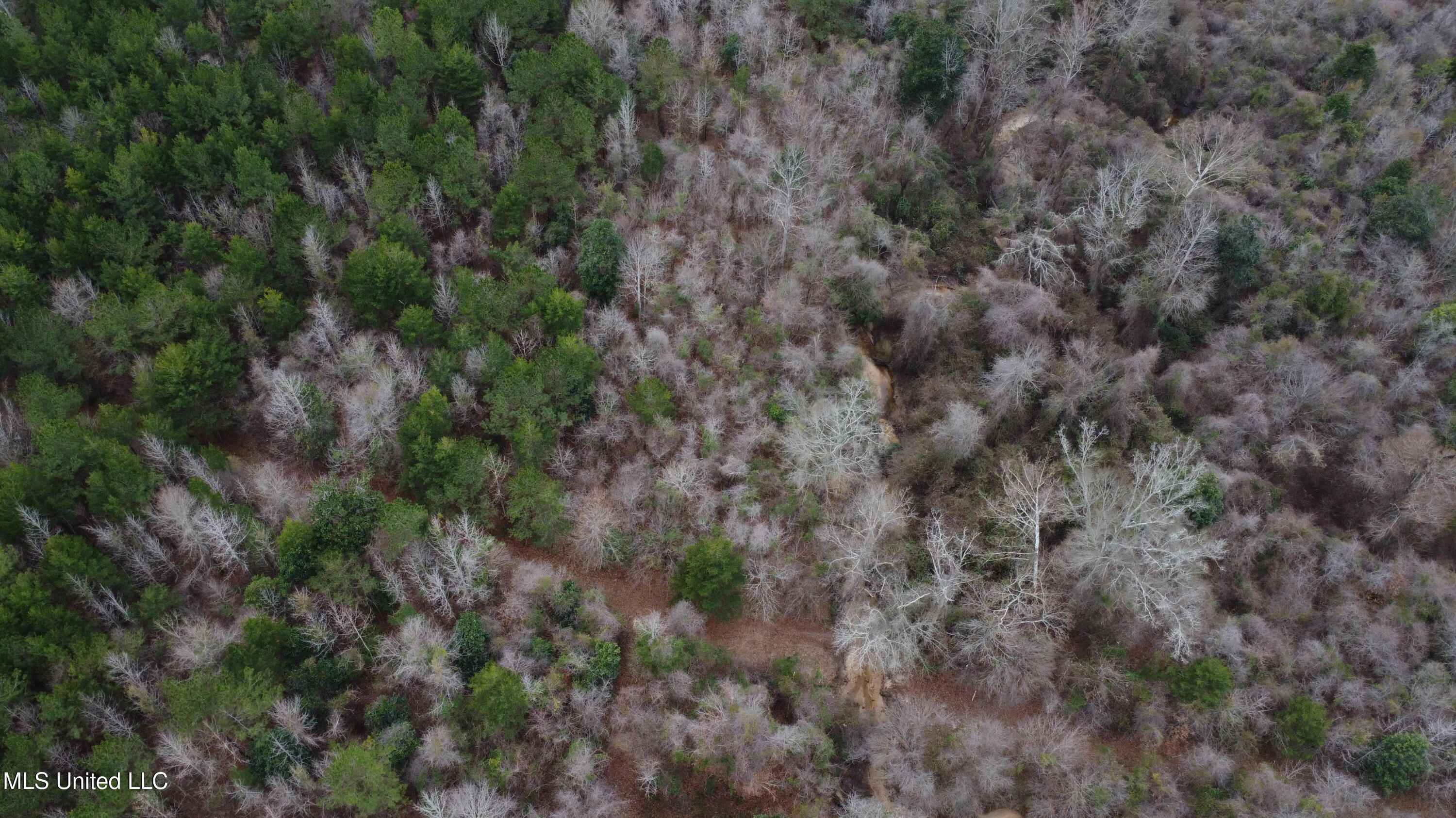 Christian Hts Road Braxton, MS 39044 - Photo 70 of 76 DJI_0719