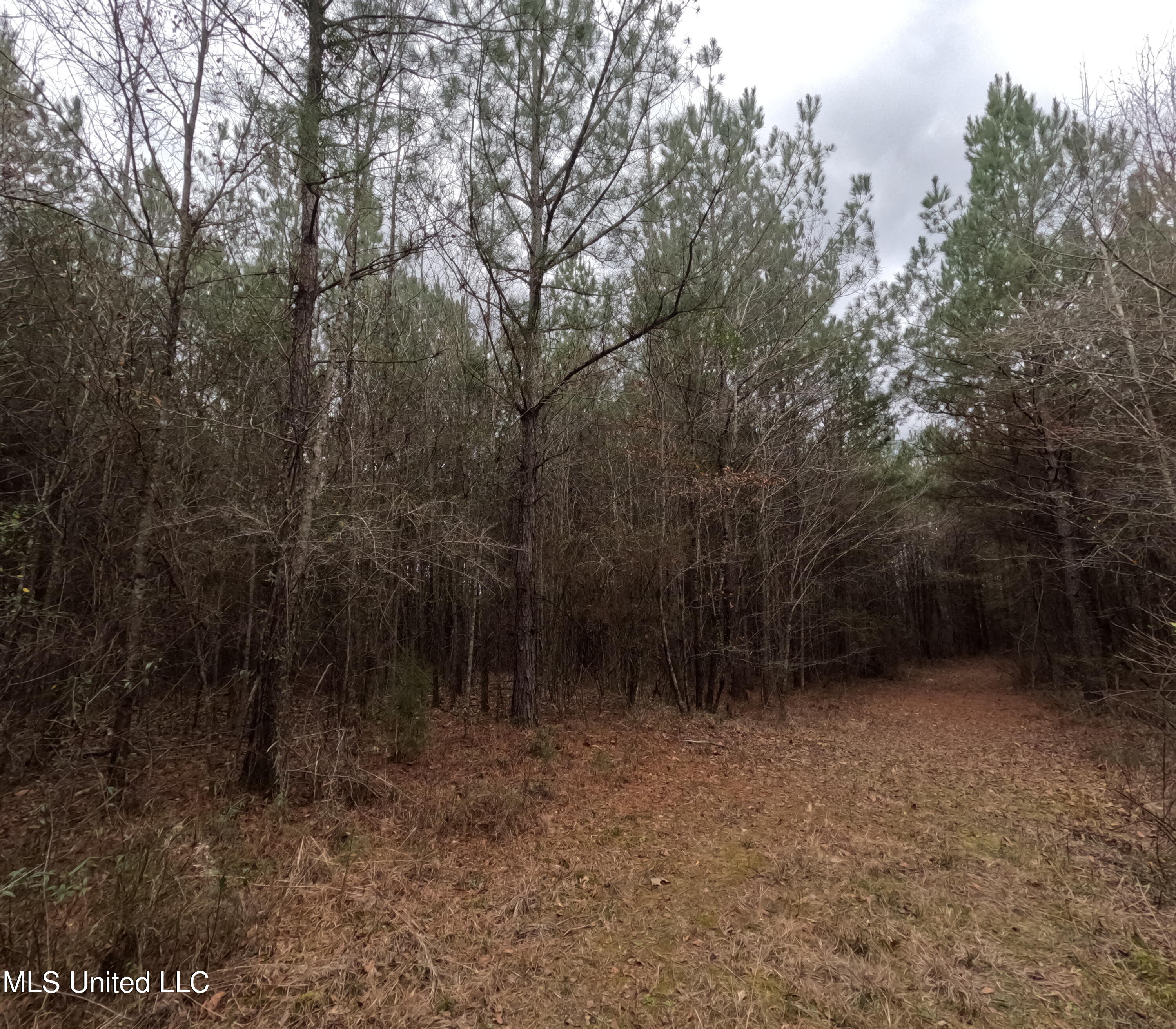 Christian Hts Road Braxton, MS 39044 - Photo 7 of 76 GOPR0773