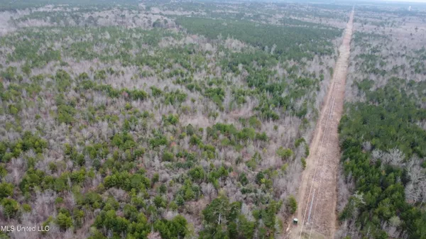$585,000 | Christian Hts Road, Braxton, MS 39044