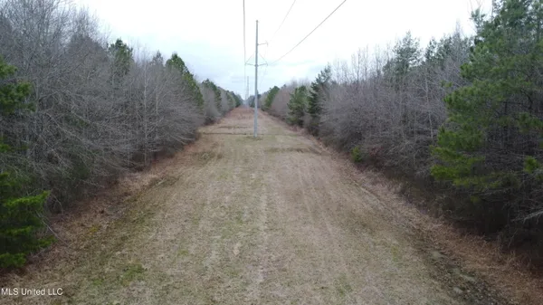$585,000 | Christian Hts Road, Braxton, MS 39044