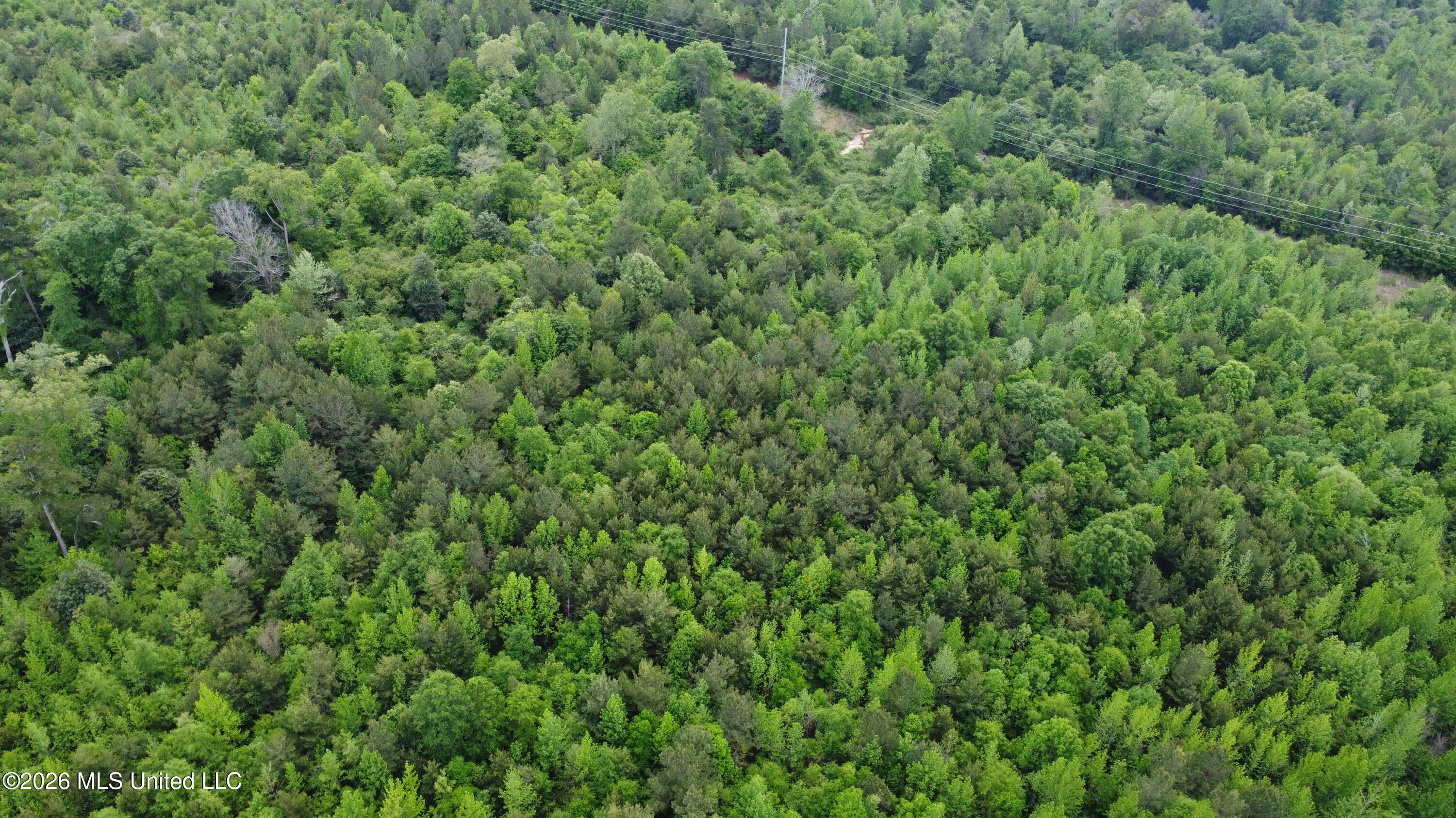 Christian Hts Road Braxton, MS 39044 - Photo 8 of 36 DJI_0830