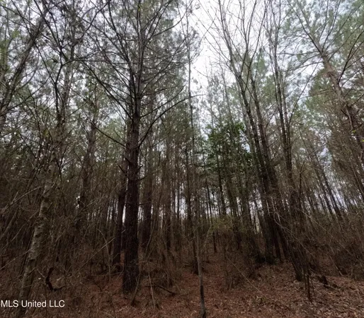 $585,000 | Christian Hts Road, Braxton, MS 39044