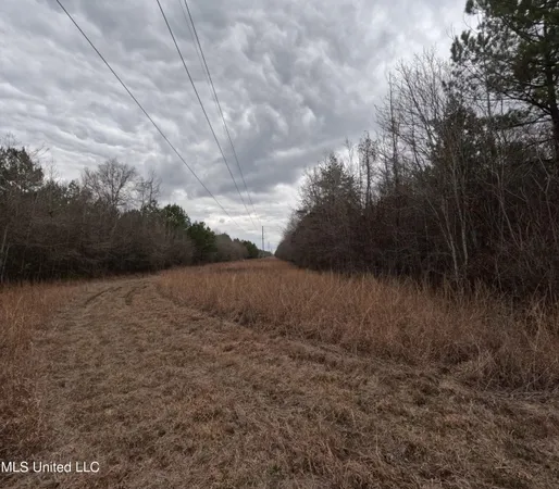 $585,000 | Christian Hts Road, Braxton, MS 39044