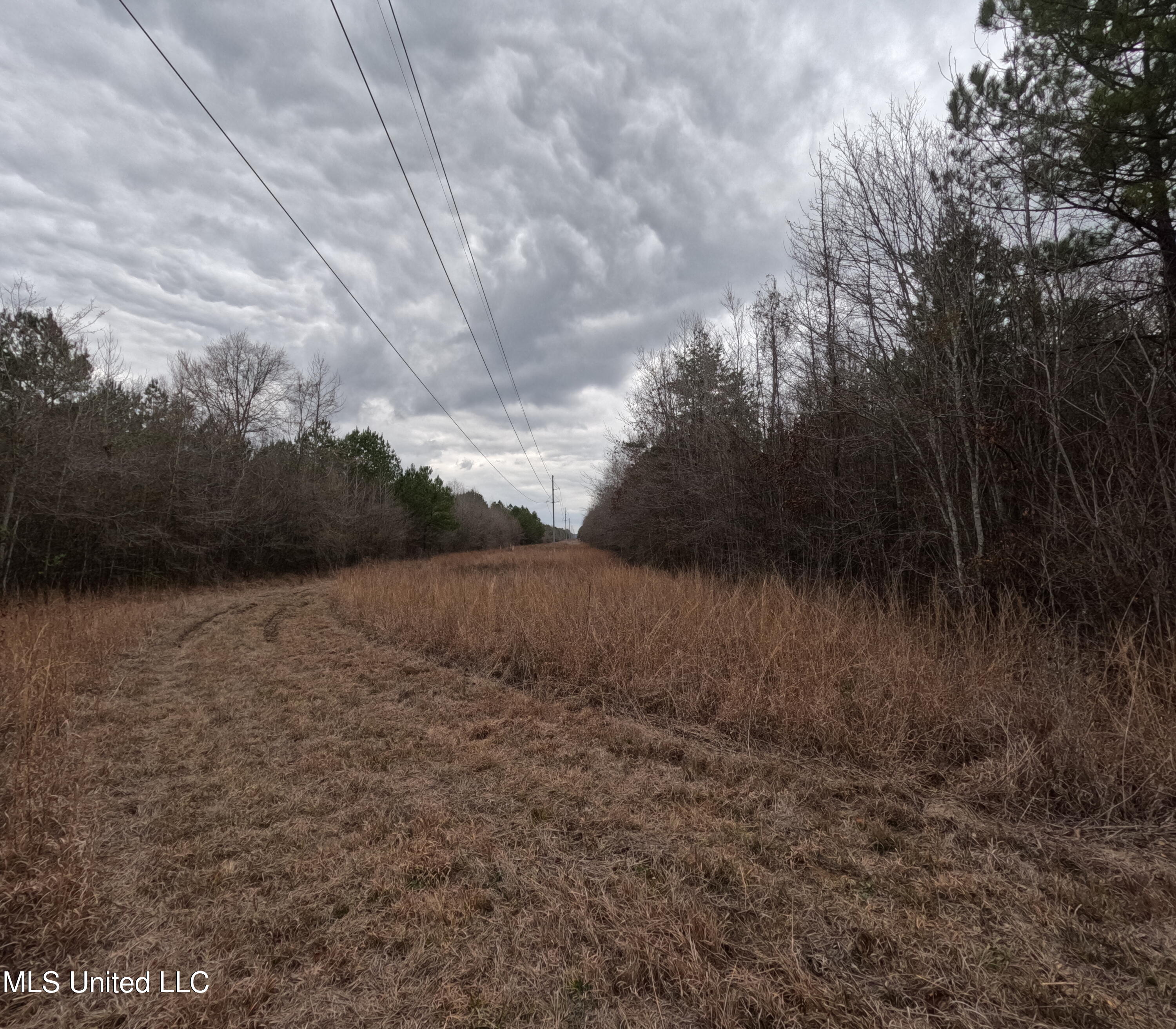 Christian Hts Road Braxton, MS 39044 - Photo 9 of 76 GOPR0775