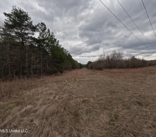 $585,000 | Christian Hts Road, Braxton, MS 39044