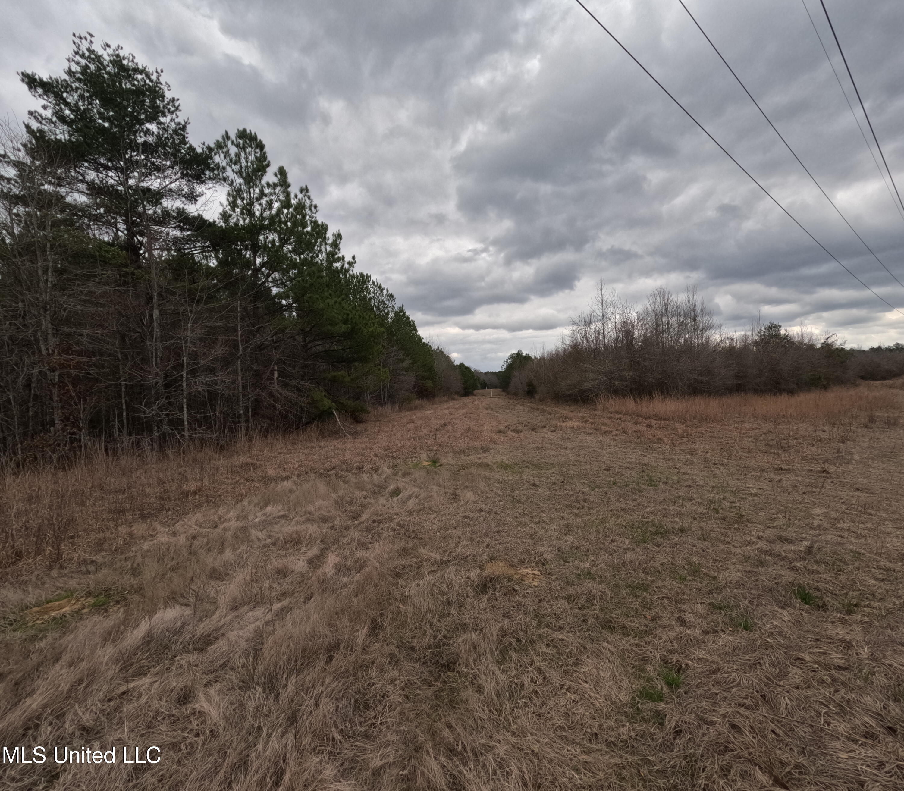 Christian Hts Road Braxton, MS 39044 - Photo 10 of 76 GOPR0776
