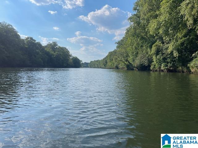 140 County Road, Unit 44 22± AC Wadley, AL 36276 - Photo 1 of 11