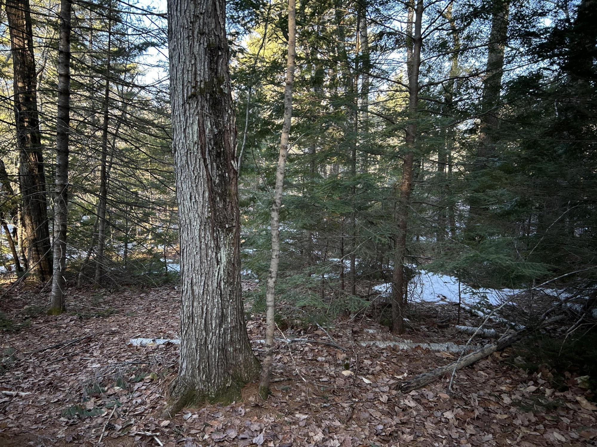 Map13-lot11 Field View Road Fryeburg, ME 04037 - Photo 18 of 37 IMG_7070