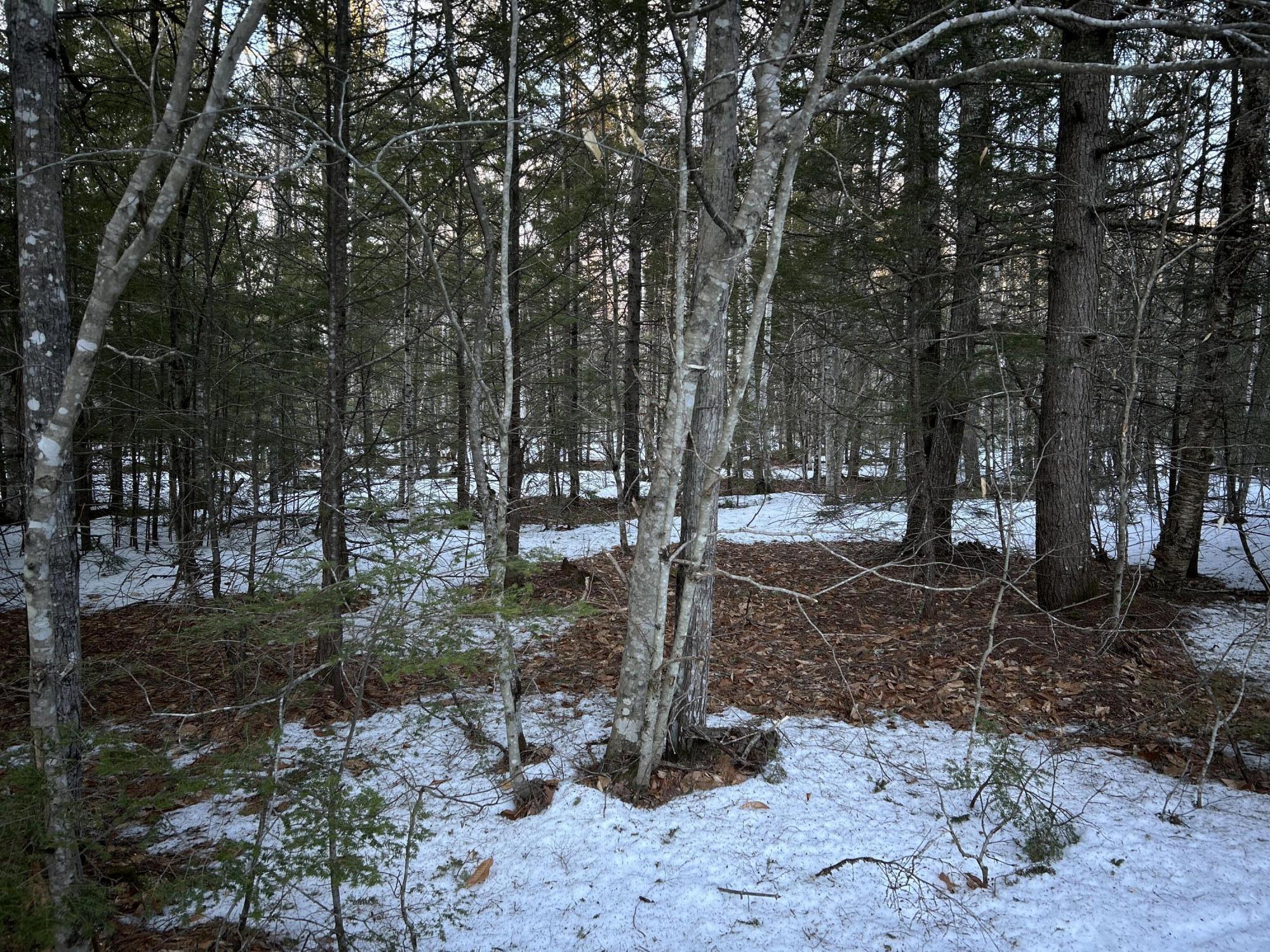 Map13-lot11 Field View Road Fryeburg, ME 04037 - Photo 2 of 37 29