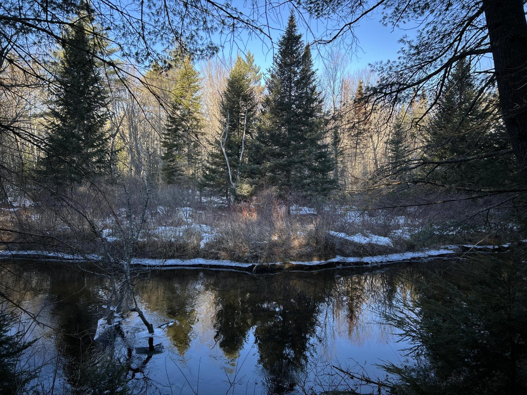 Map13-lot11 Field View Road Fryeburg, ME 04037 - Photo 21 of 37 IMG_7058