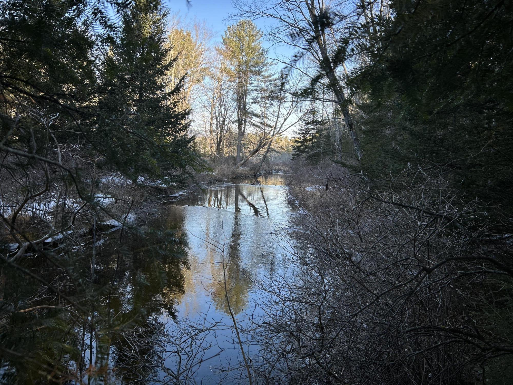 Map13-lot11 Field View Road Fryeburg, ME 04037 - Photo 22 of 37 IMG_7060