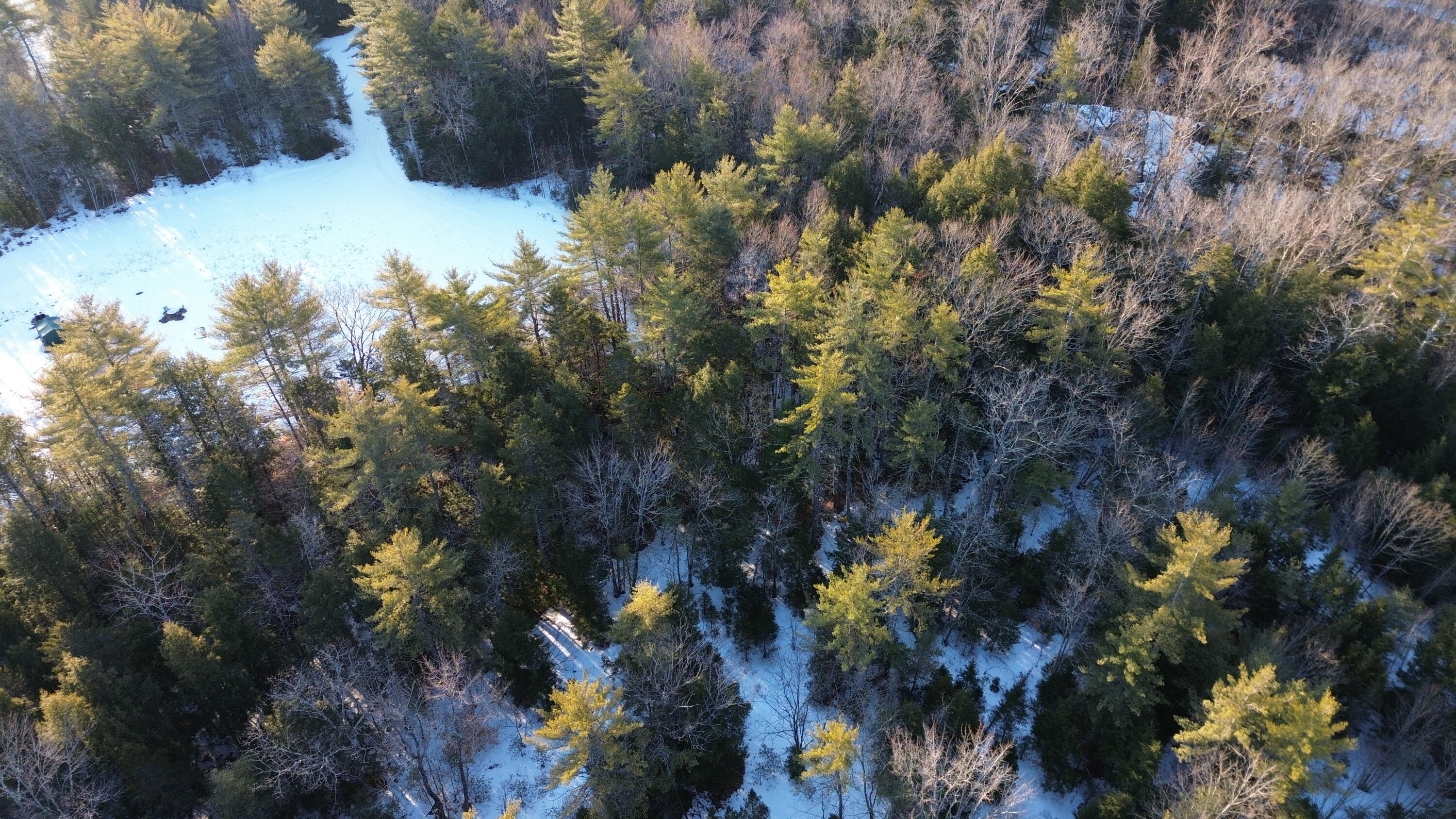 Map13-lot11 Field View Road Fryeburg, ME 04037 - Photo 3 of 37 27