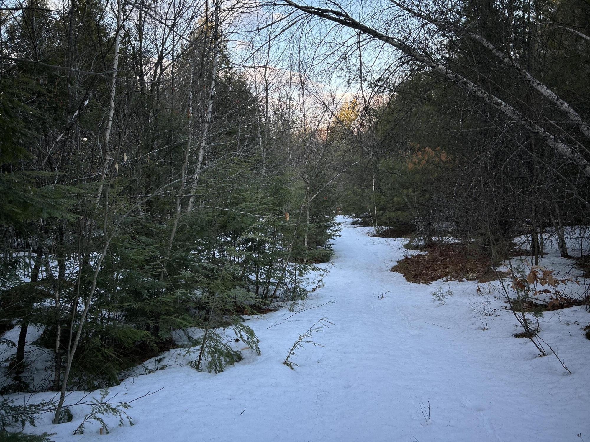 Map13-lot11 Field View Road Fryeburg, ME 04037 - Photo 4 of 37 25