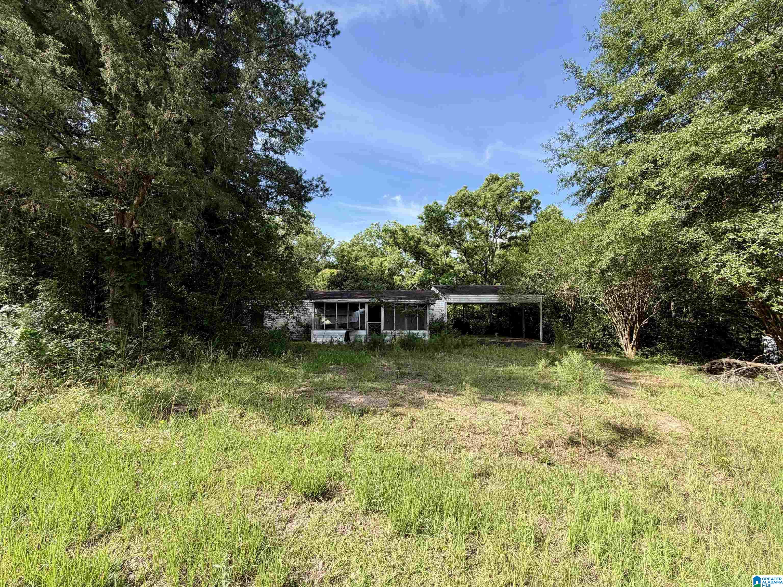 31191 County Road 107 Red Level, AL 36474 - Photo 2 of 5