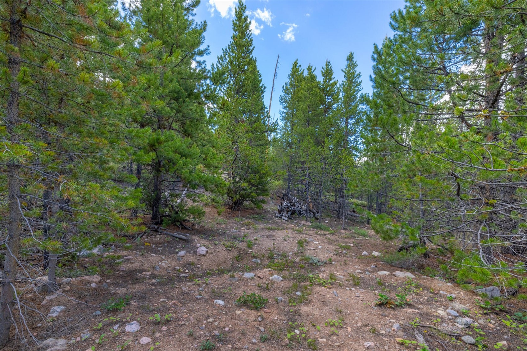 517 Giberson Road Frisco, CO 80443 - Photo 23 of 26 Gallery Image 23