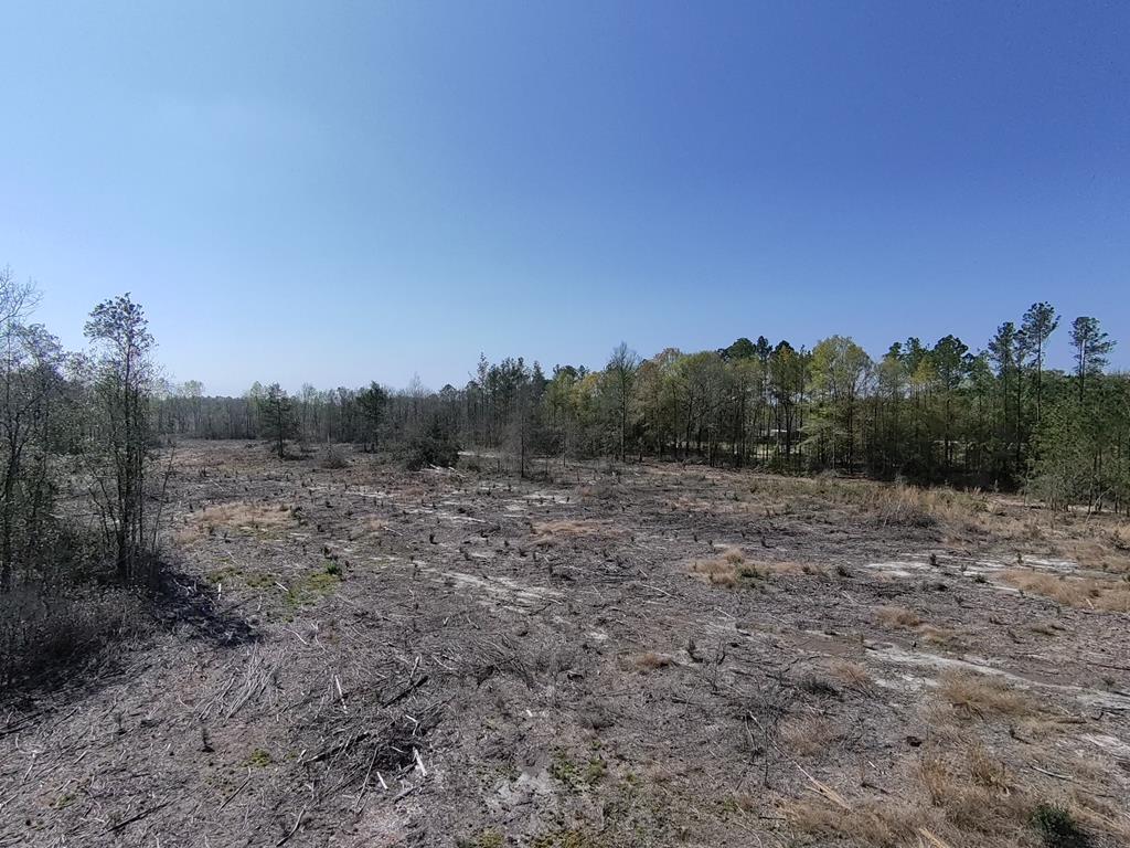 87 Highway 87 Samson, AL 36477 - Photo 19 of 47