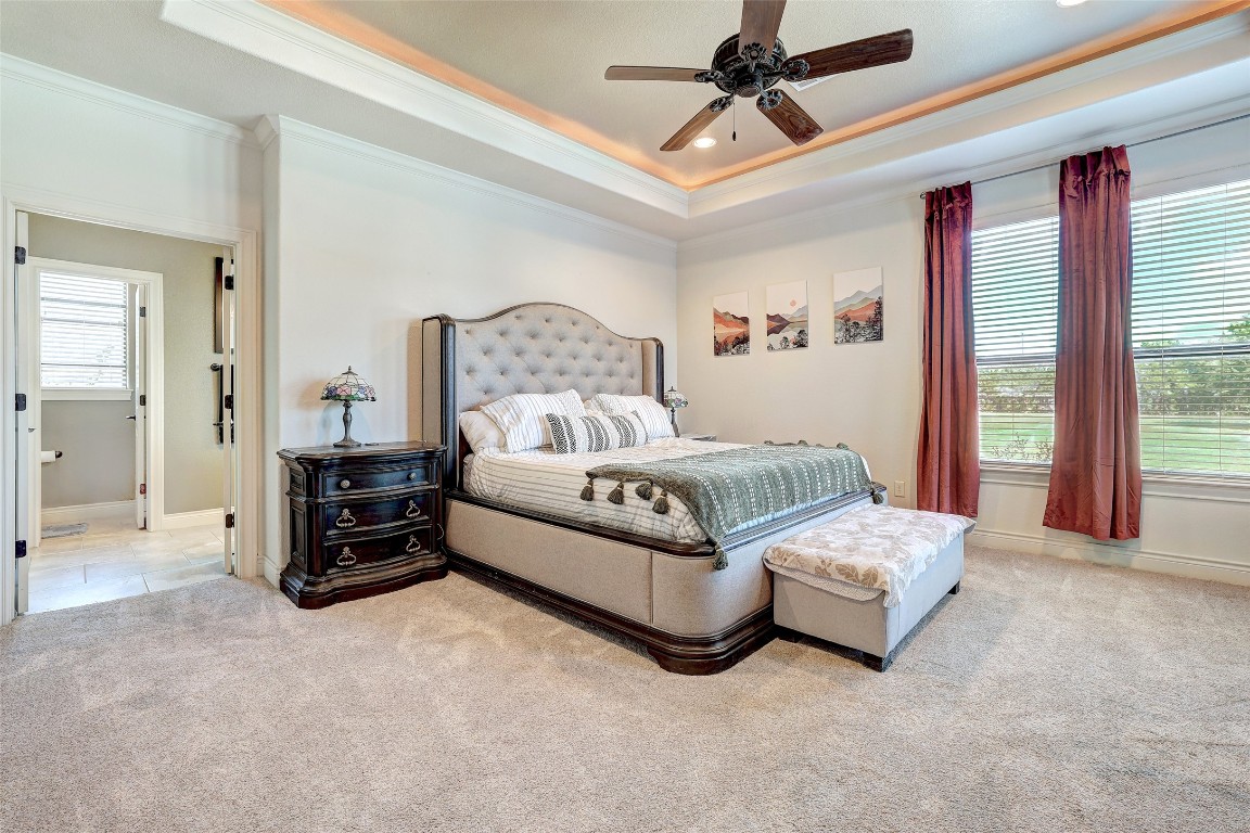 Undisclosed Address Georgetown, TX 78633 - Photo 19 of 38 Bedroom with a raised ceiling, crown molding, carpet floors, and a ceiling fan